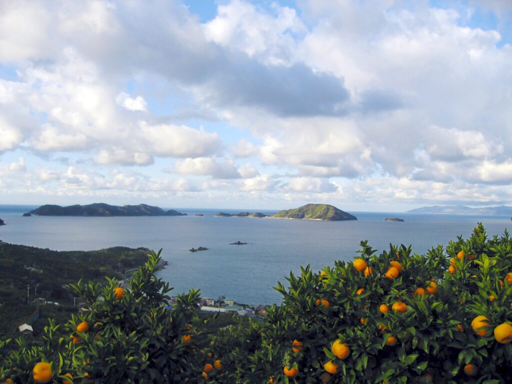 愛媛県