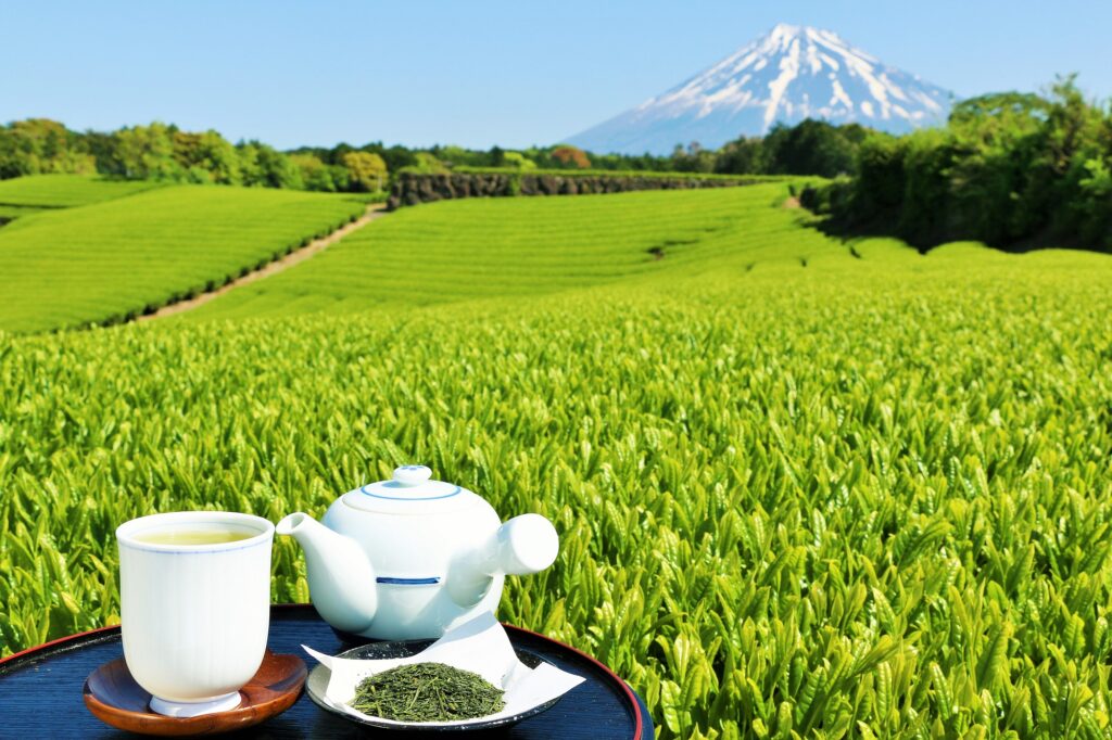 静岡県
