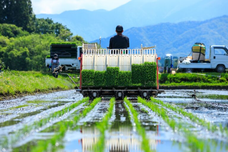秋田県