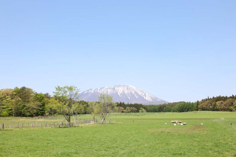 「小岩井農場」を満喫！ ふれあい動物体験や魅力を徹底解剖