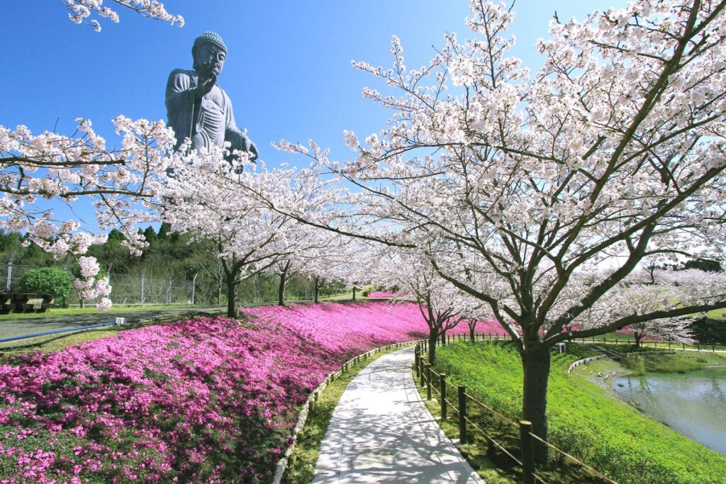 浄土庭園・定聚の苑