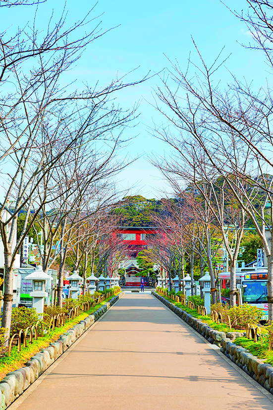 若宮大路