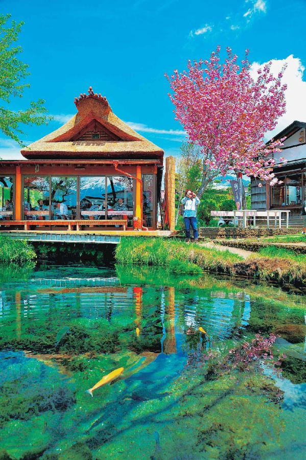 忍野八海観光の拠点となる湧池