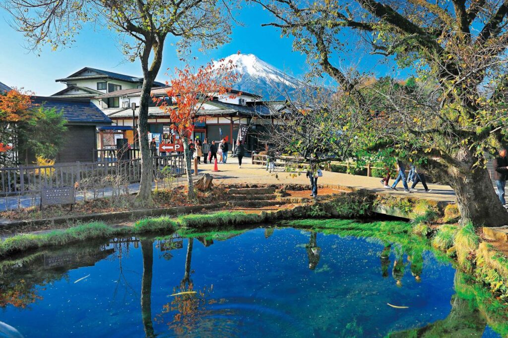 中池と富士山