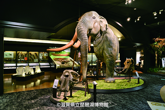 滋賀県立琵琶湖博物館1