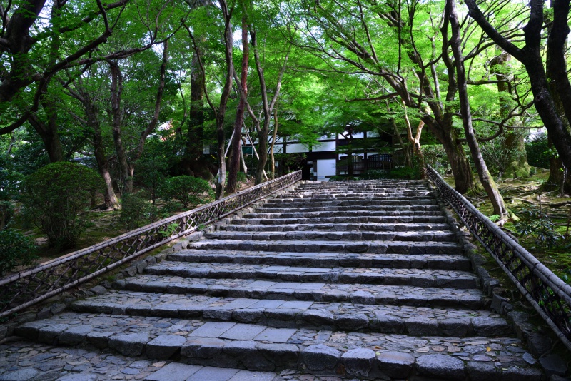 方丈へと続く参道