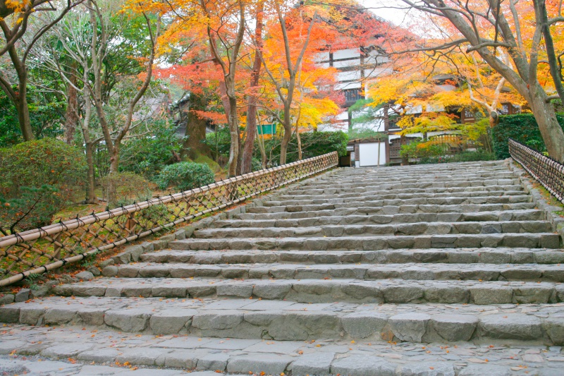 方丈へと続く参道2