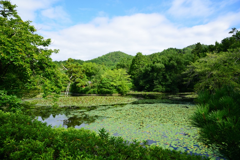 鏡容池（きょうようち）