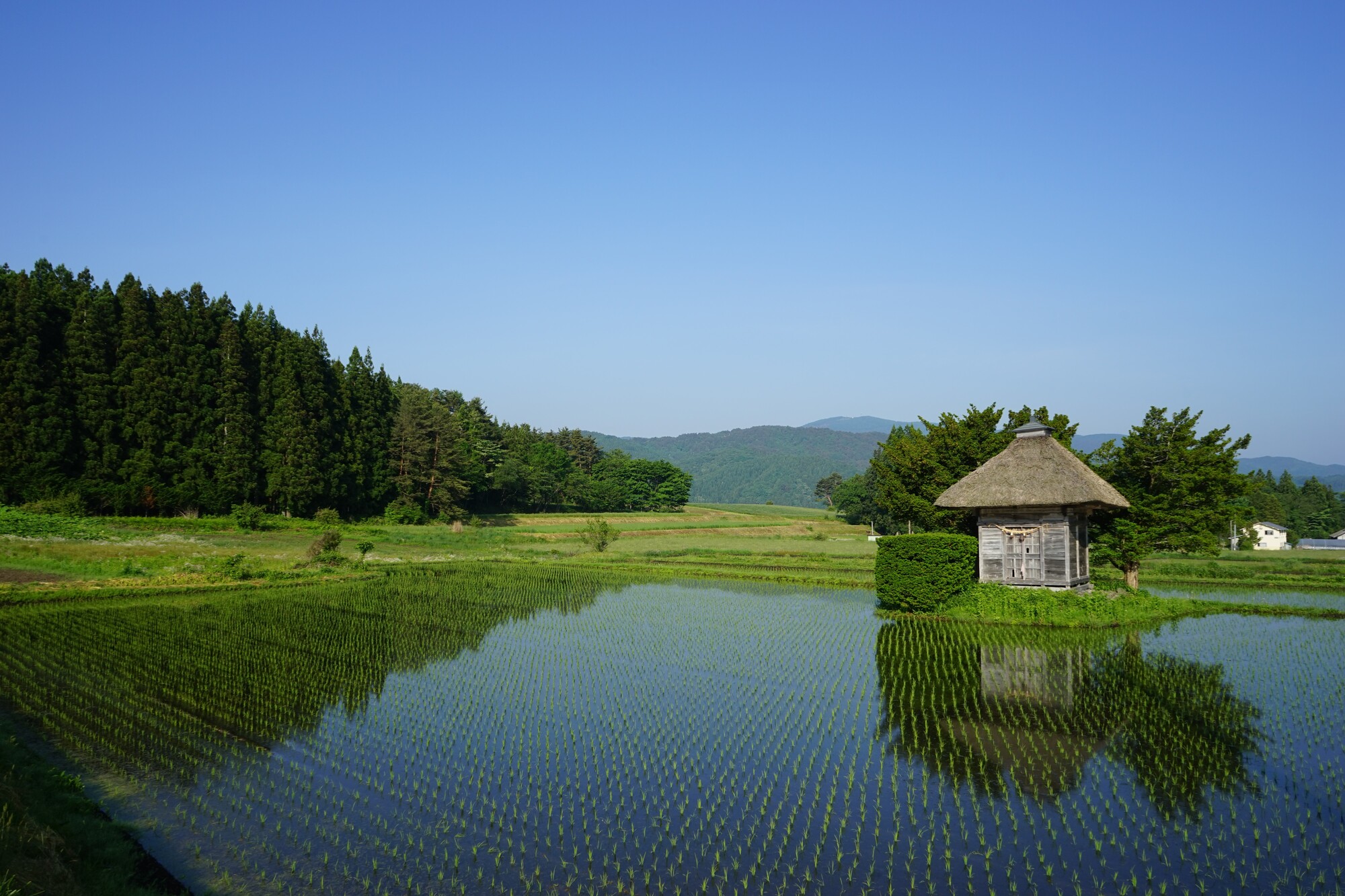 荒神神社
