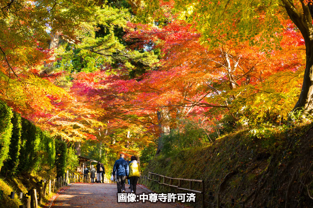 中尊寺参道