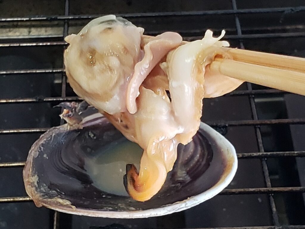 島アサリ