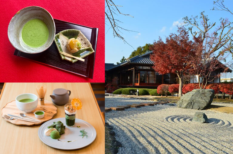 【愛知県西尾市】茶摘み体験も工場見学もスイーツ巡りも！西尾市で抹茶文化を楽しもう