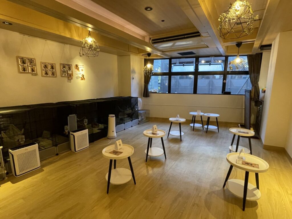 店内
