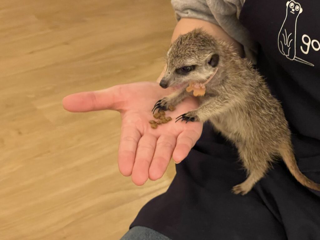 おやつあげ