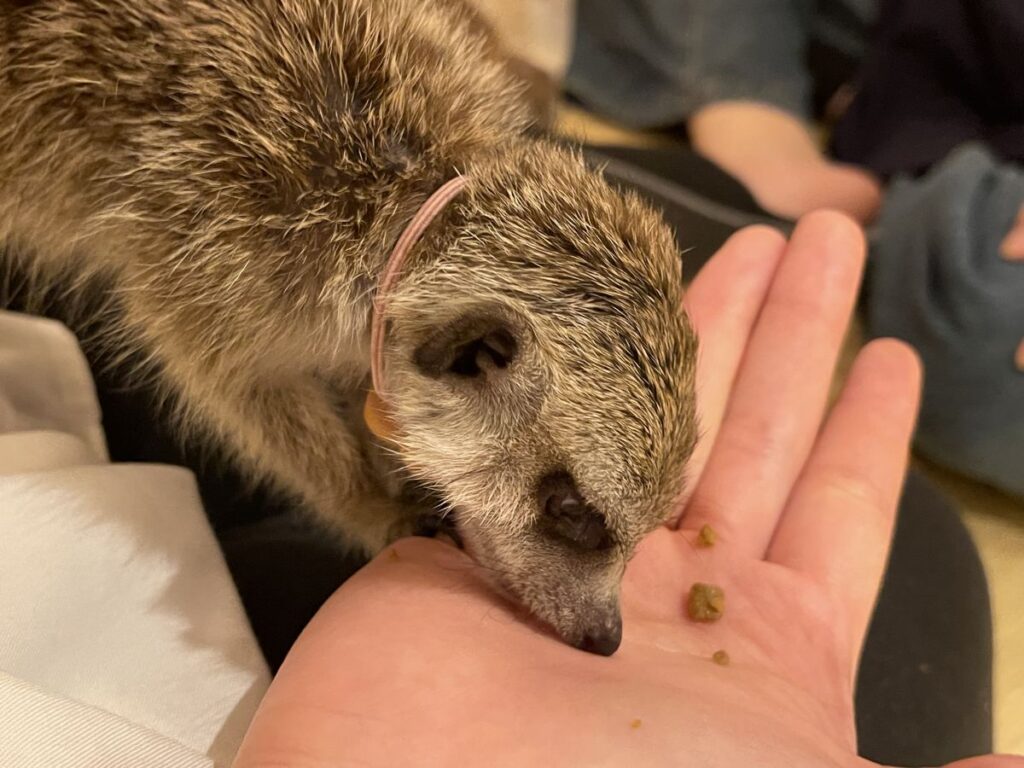 おやつ食べるところ