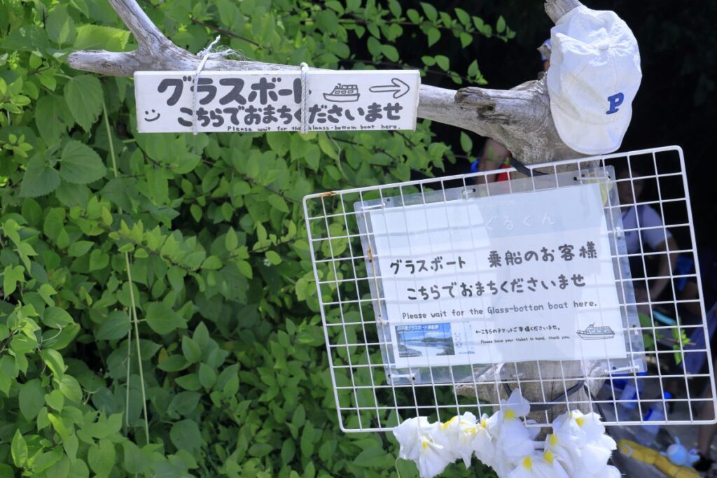 グラスボート案内