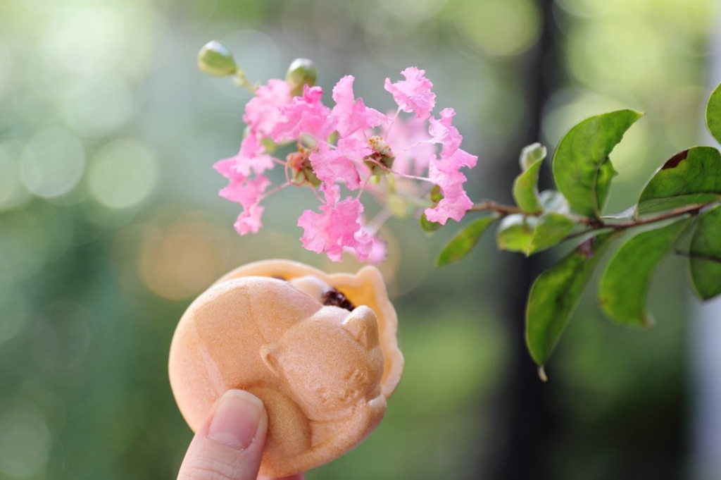 花と最中