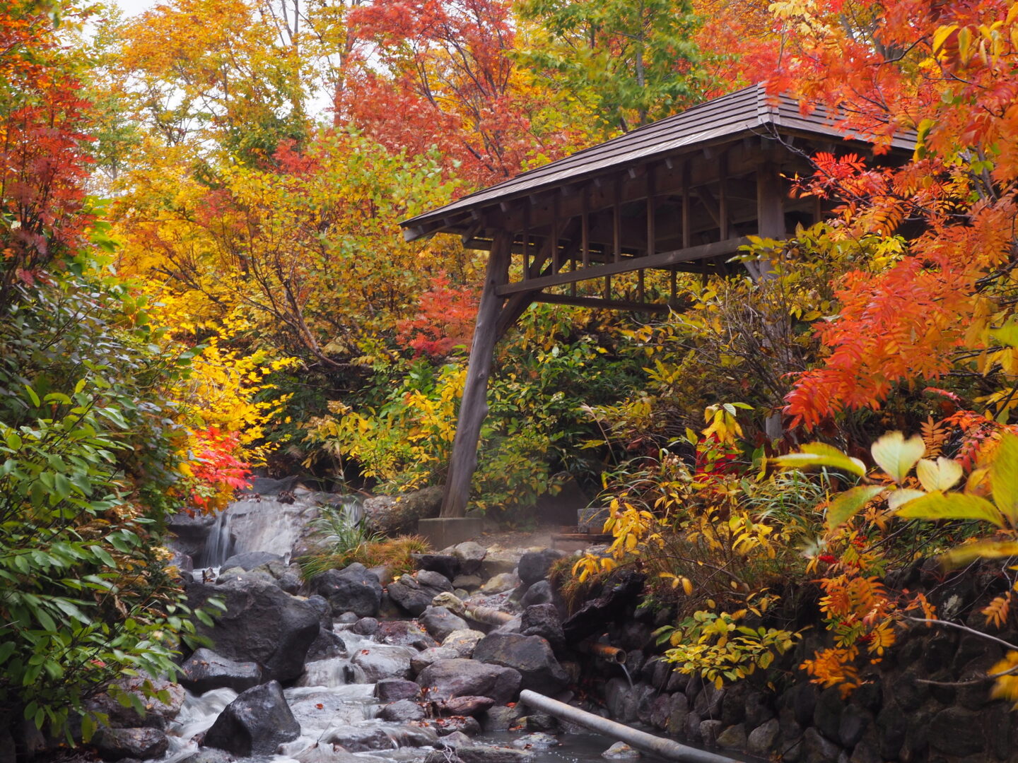 紅葉の酸ヶ湯温泉