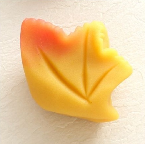 「梢の錦(こずえのにしき)」