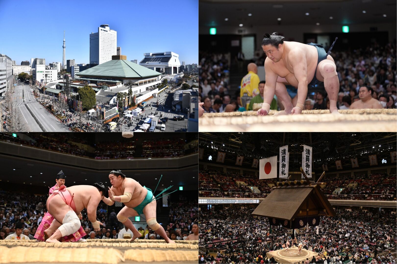 日本の国技、大相撲を観戦しよう！