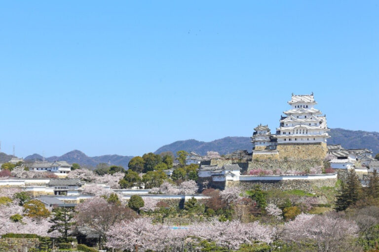 世界に誇る城下町・姫路市 ―歴史と美しさが息づく都市の魅力―