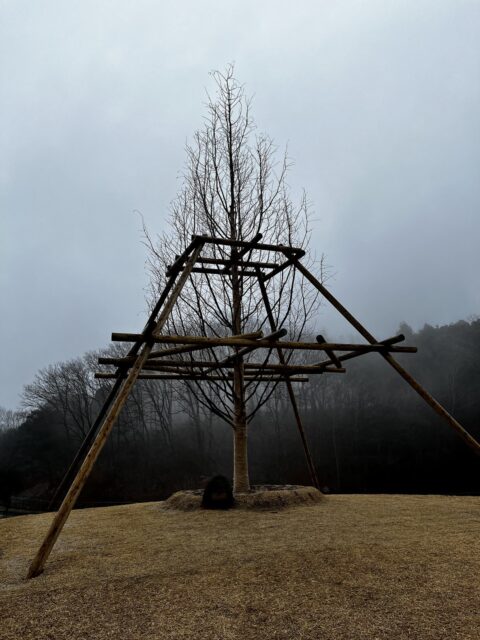 田来原美しい森づくり公園
